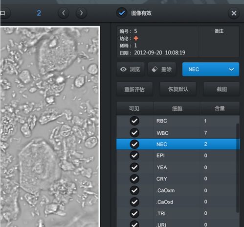 医疗系统UI界面设计 重塑医患体验的关键